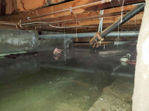 Cost of Crawlspace Drainage in Mesa
